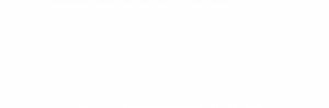 000-EN-Logo-Software-Evolution-Gaming-White.png